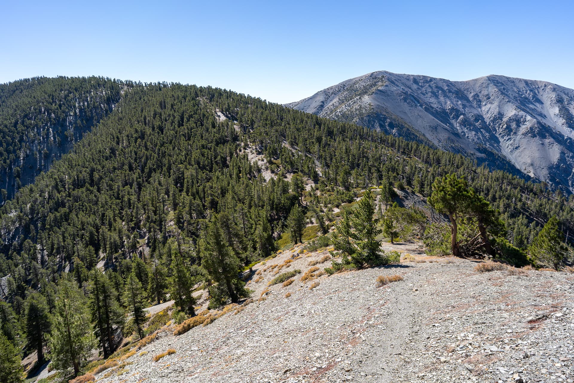 Baldy-Pine-Baldy Traverse