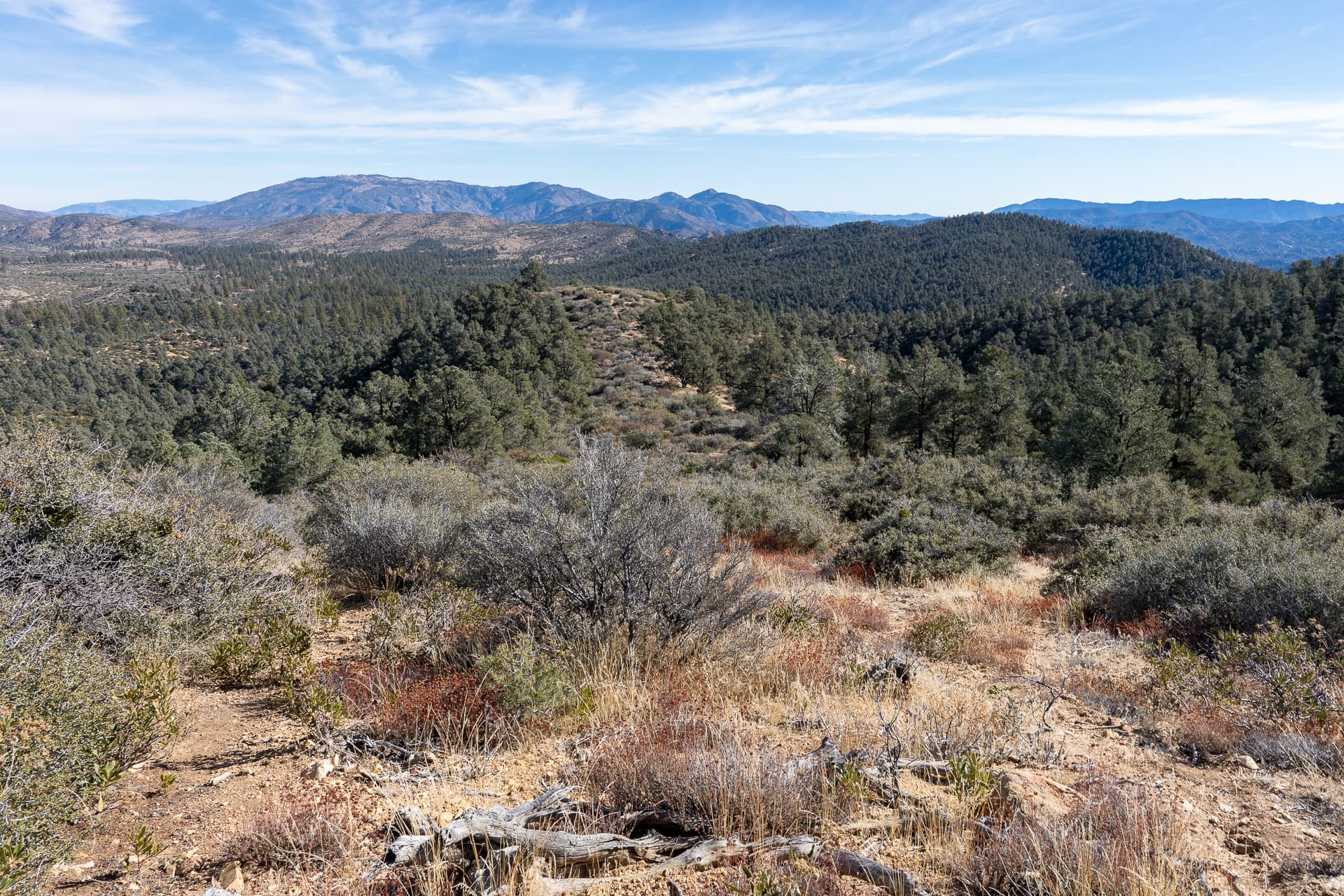 San Guillermo Mountain