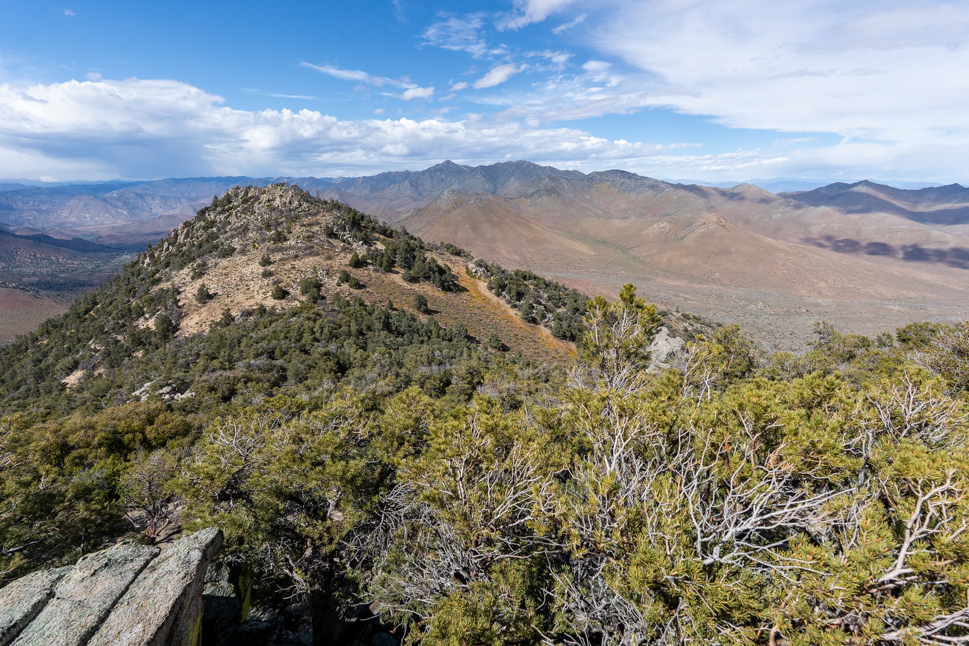 Scodie Mountain