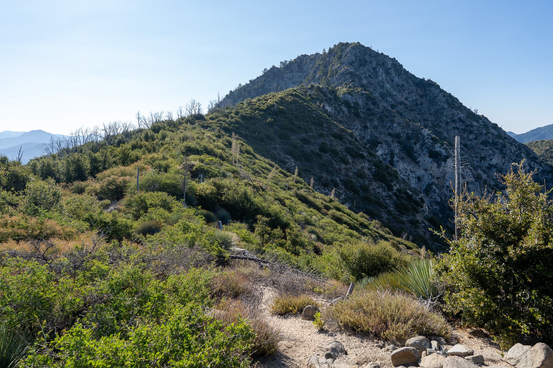 Strawberry Peak Loop
