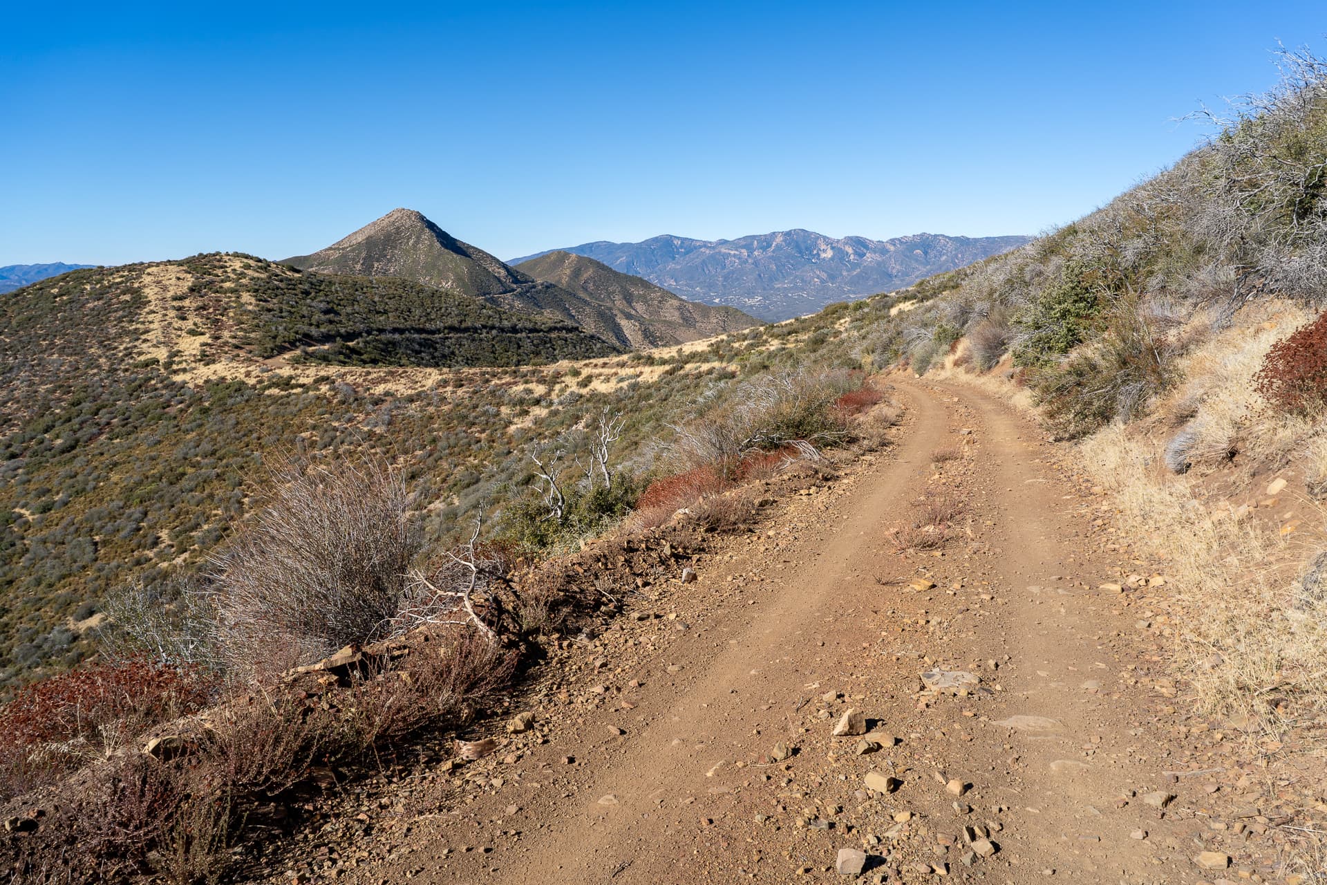 Chief Peak via Horn Canyon