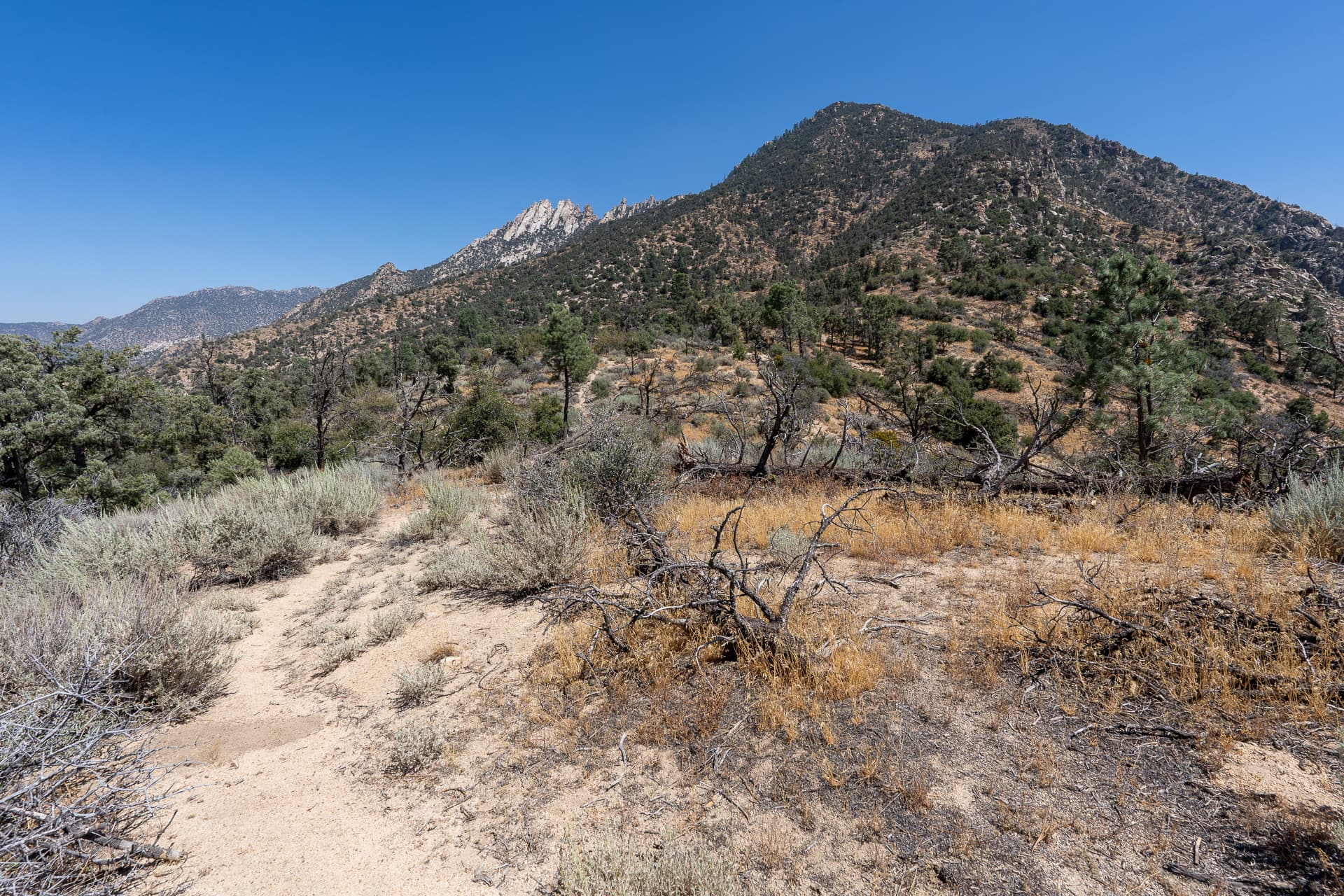 Lamont Peak