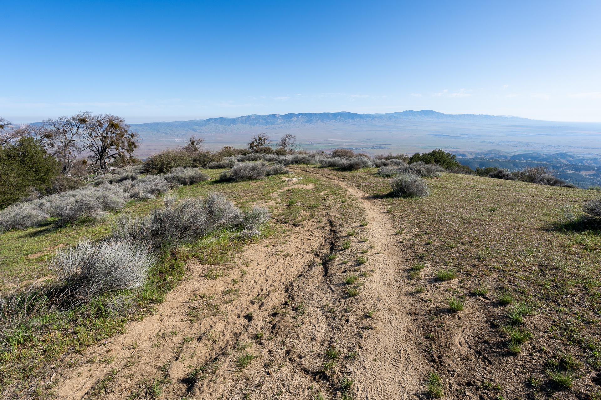 Liebre Mountain