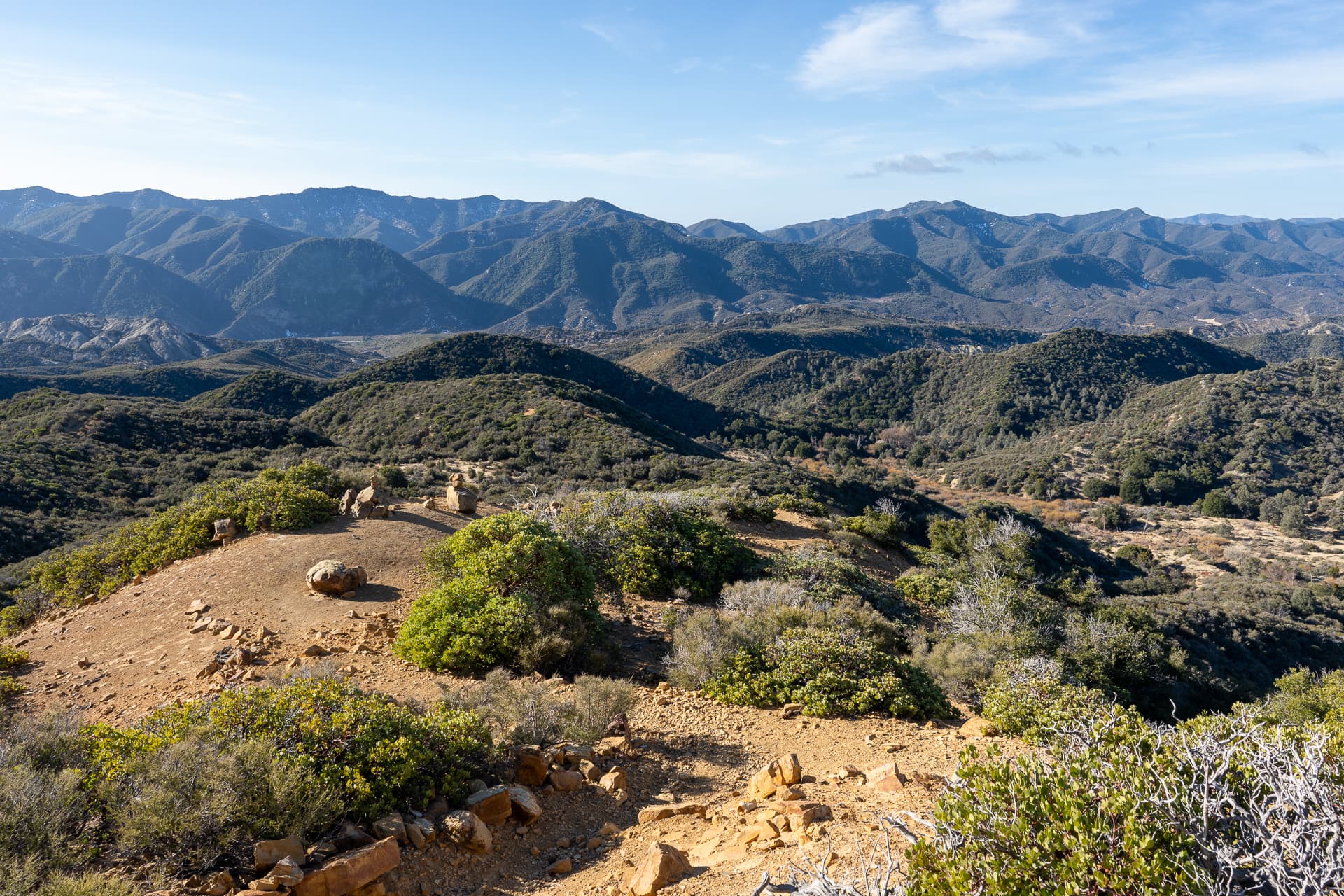 Reyes Peak via Chorro Grande Trail