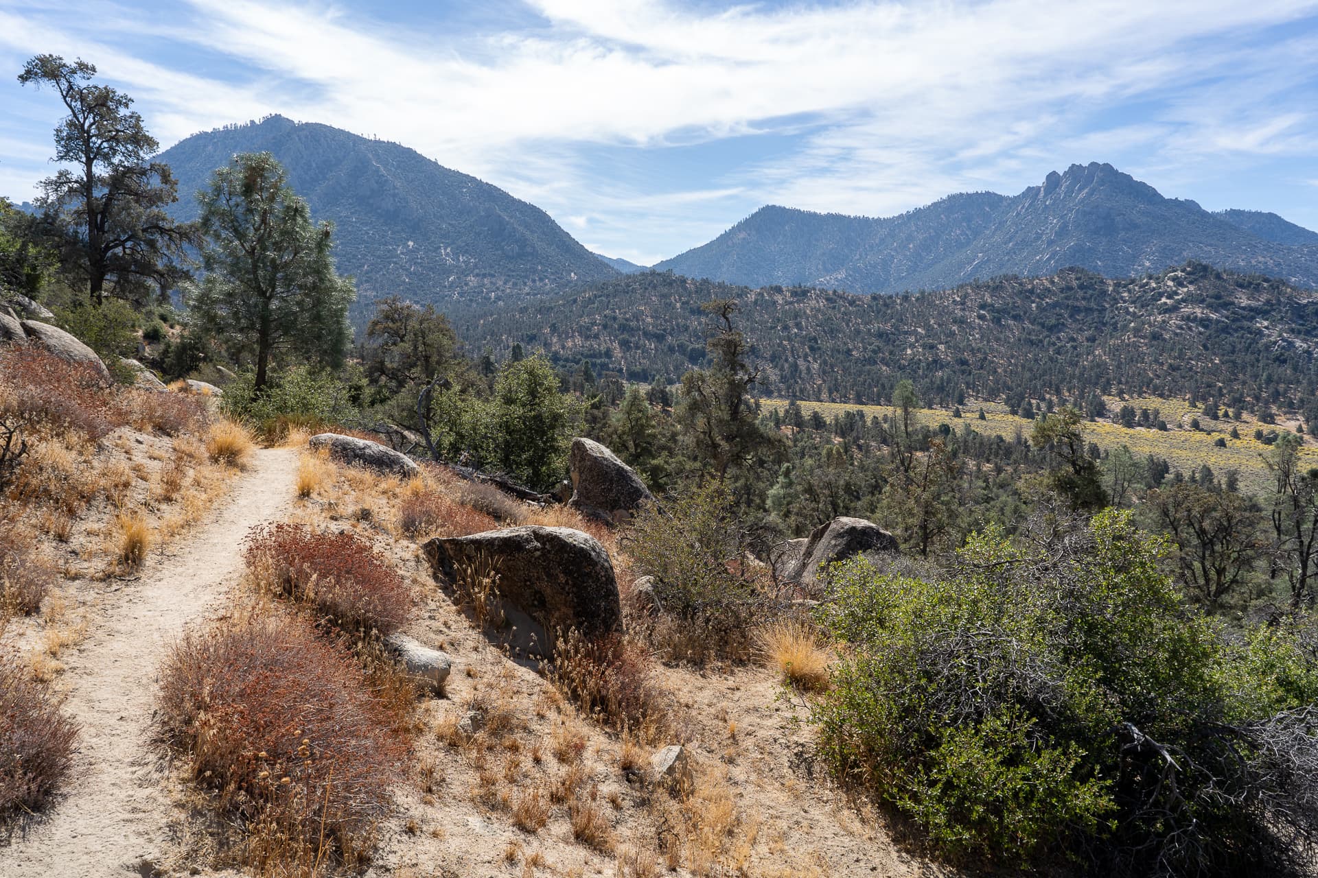 Sawtooth Peak and Lamont Benchmark