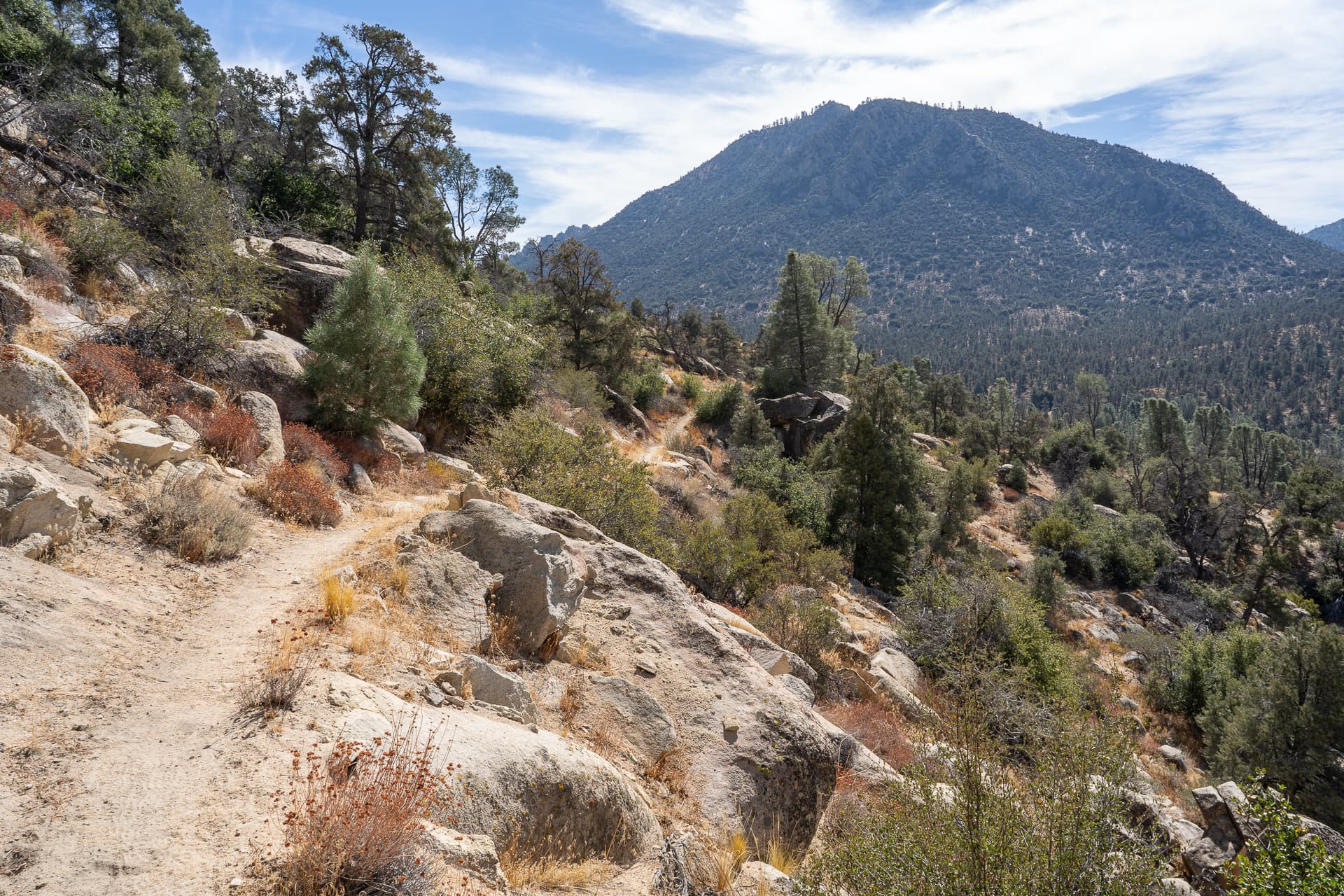 Sawtooth Peak and Lamont Benchmark