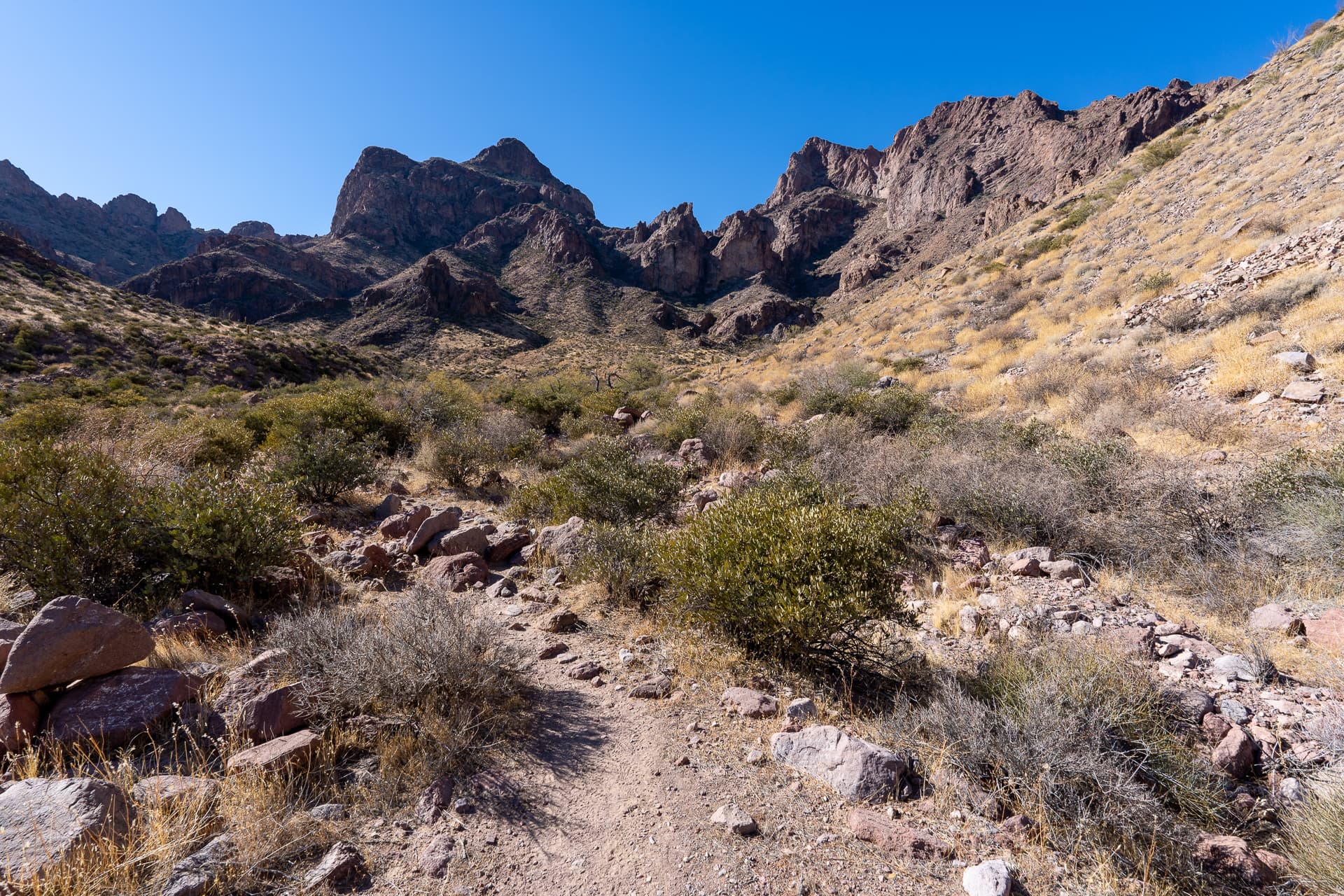 Signal Peak and Ten Ewe Mountain