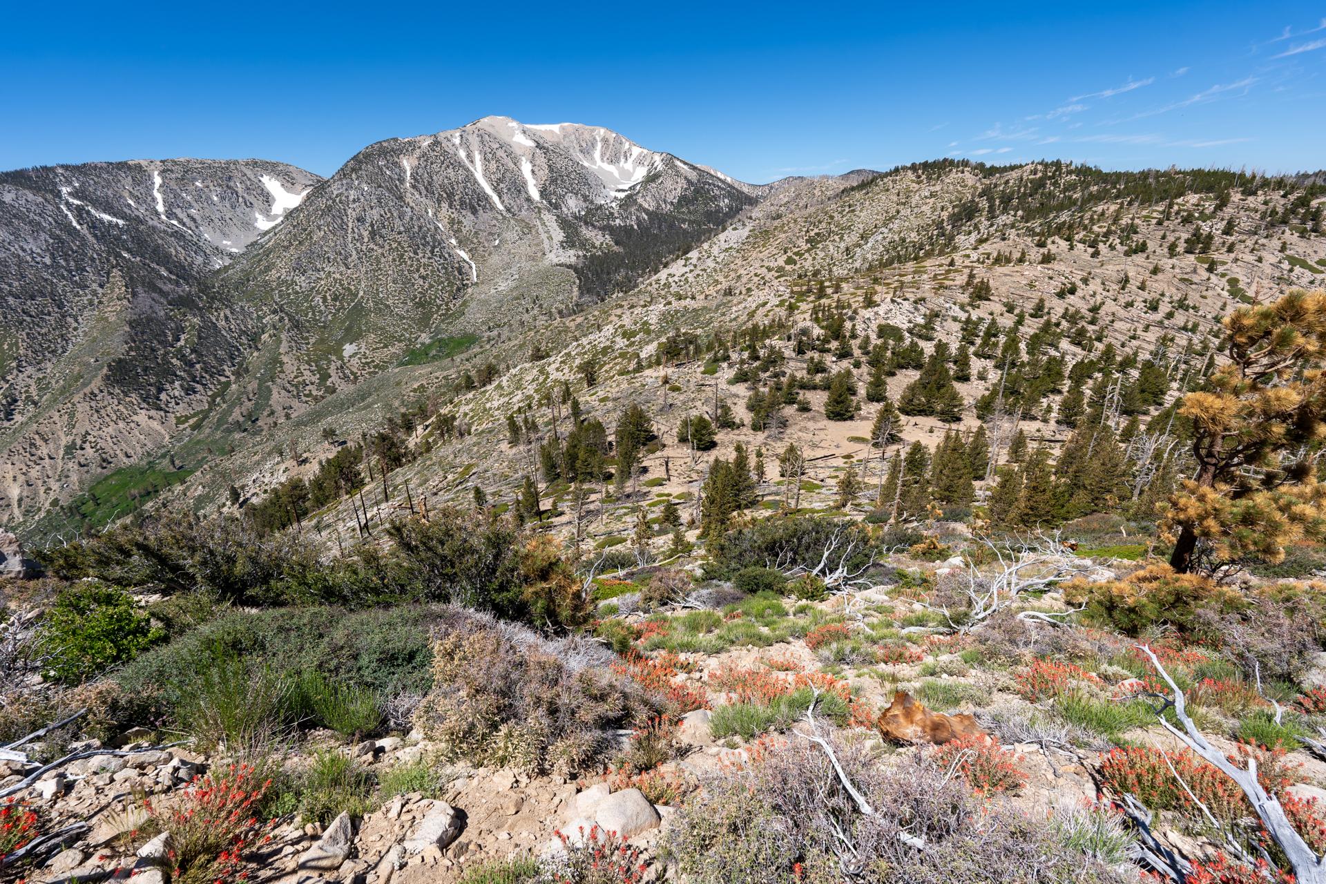 Ten Thousand Foot Ridge and Mount Grinnell Loop