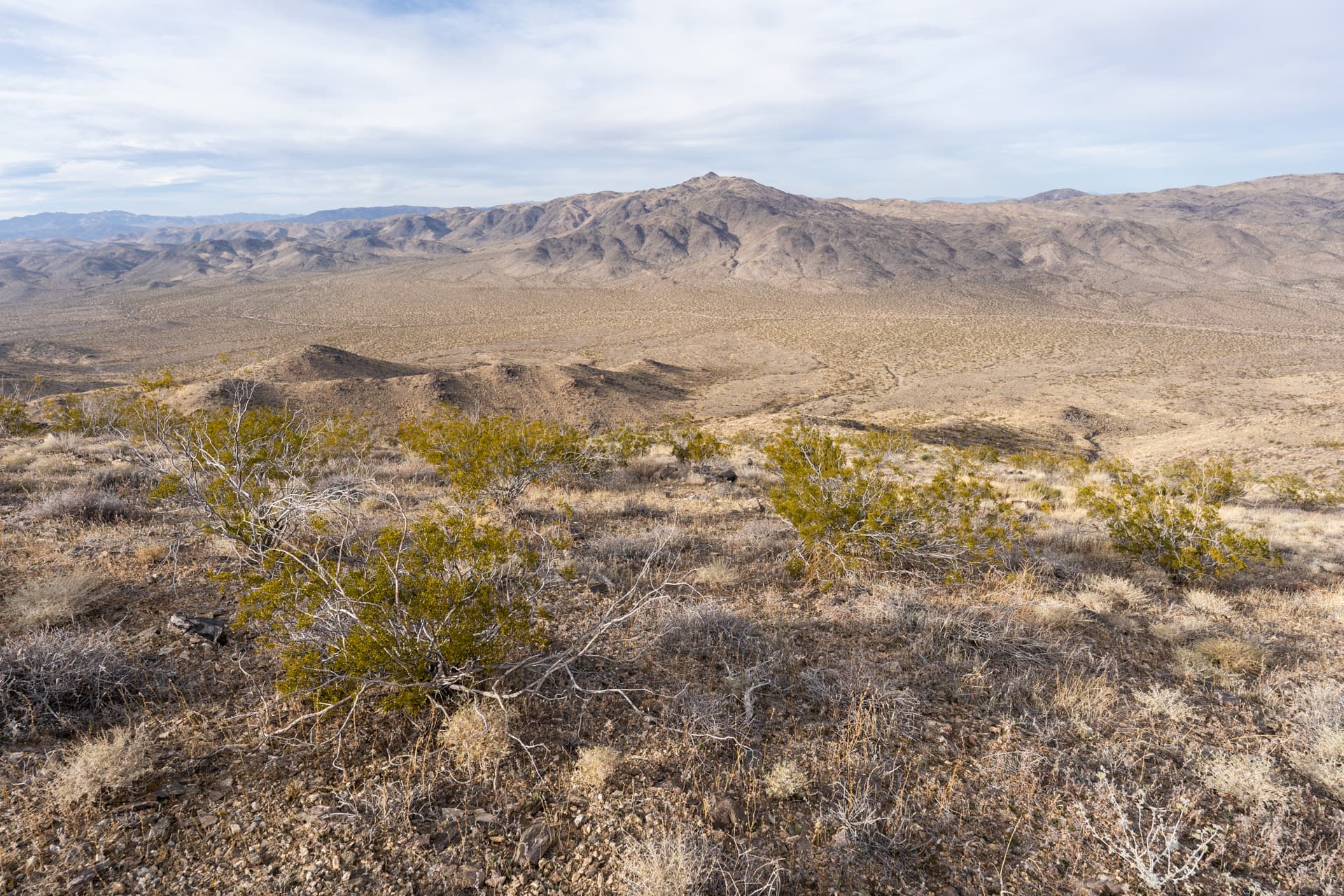 Monument Mountain and Cottonwood Mountains High Point