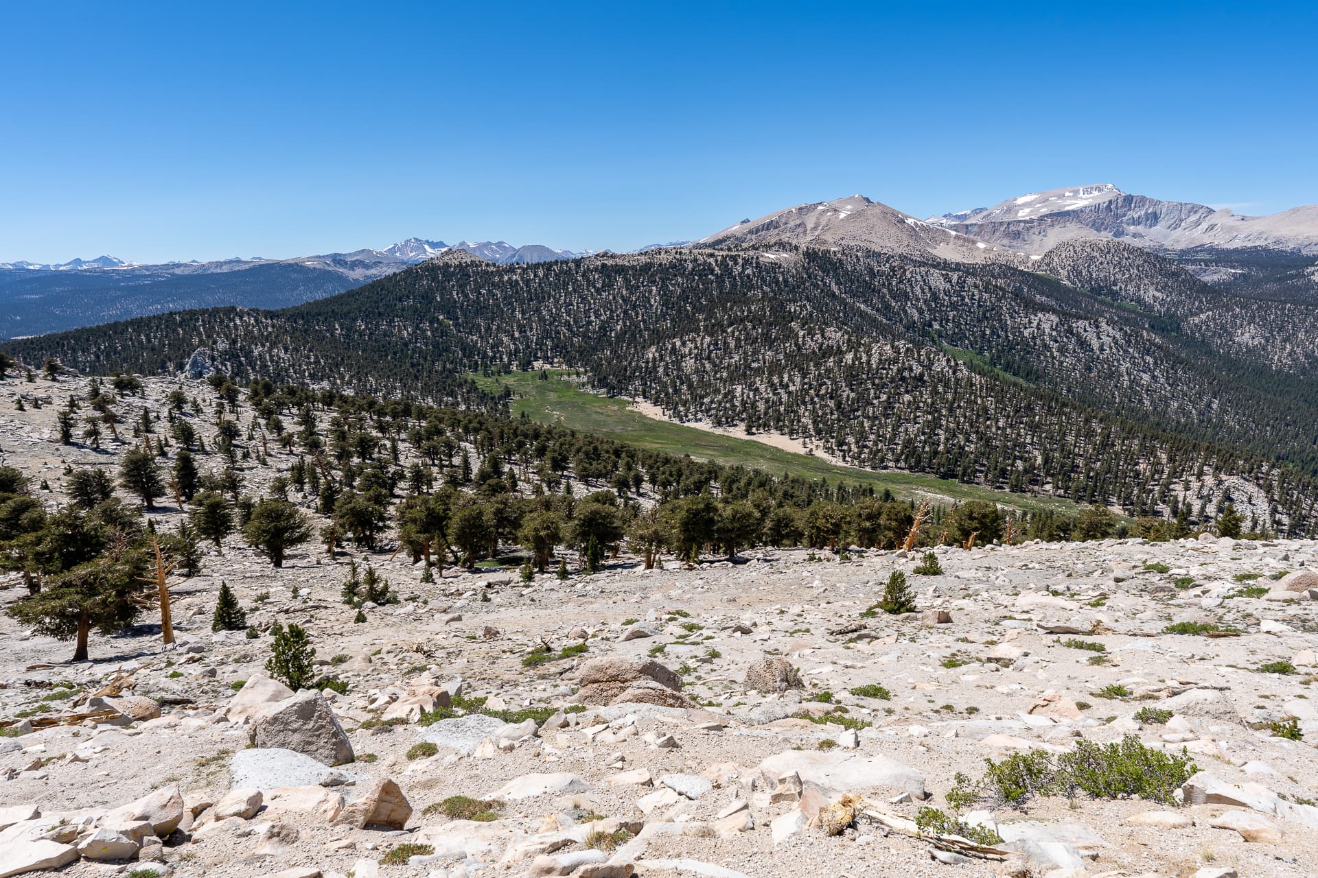 Peak 11620 and Trail Peak Loop